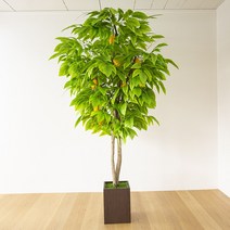 대형인조나무 조화화분 인조 망고나무, 방부목화분 1.8M, 1개