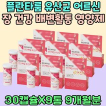 질 유래 유산균 어르신 장 건강 배변활동 영양 제 남자 여자 아연 프로바이오틱스 람노서스 아내 운동선수 장에좋은 김치 유산균 가세리 실버 대용량 비피도 박테리움 40대 50대 유아 키즈
