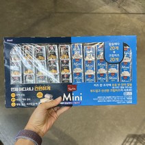상하치즈 Mini 체다 크림치즈 48g x 10입, 아이스보냉백포장