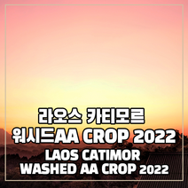 (커피생두) 251 라오스 카티모르 워시드AA CROP 2022 1kg