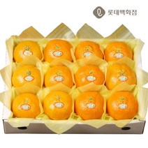 (롯데백화점)(햇살아름)레드향 세트2호(3kg 10-14과)