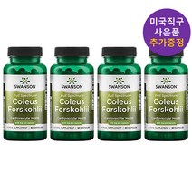 스완슨 콜레우스 포스콜리 400mg 60정 4개 사은품 추가증정