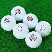 비거리 데일리 골프공 6구세트 새상품 무지/캐릭터 연습용 커스텀 인쇄 소량주문제작, 퍼피골프공 6구+케이스