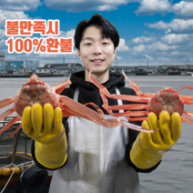 [기봉수산] 국산대게 박달대게 명품대게 당일 수확 당일배송 선주 직배송, 국산 명품대게 대 3마리