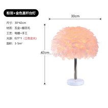 WARM프리미엄 깃털스탠드 인테리어 롱 스탠드 장 거실 플로어 스탠딩 소품 조명, 스탠드-파우더+골드 스트로크 3색광 증정