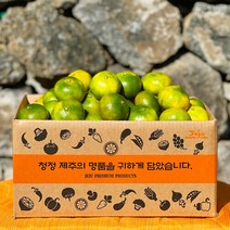 제주 감귤 햇 노지 타이벡 감귤 극조생 조생 서귀포 효돈감귤, 타이벡감귤, 23.조생 소과(2S~S) 4.5kg