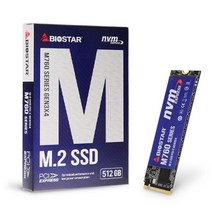 [BIOSTAR] M760 M.2 NVMe 512GB