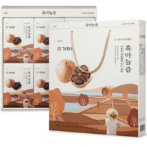 GC녹십자웰빙 가화원 흑마늘즙 선물세트 100% 국내산 흑마늘 60mlx24포, 24포, 2박스