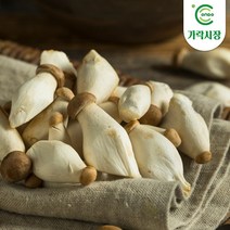 [온도씨]가락시장 미니새송이 1봉 (300g), 단품