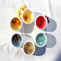 꽃차 선물세트 5종 D세트 진달래 연꽃잎차 도화 캐모마일 생강나무 국산 꽃잎차 쇼핑백 집게 수제 전문가가직접 로스팅 덖음 깊고진한 천해의자연상태그대로 프리미엄 청정 고퀄리티 답례품, 5종미니 D 진달래 연꽃잎차 도화 캐모마일 생강나무