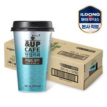 앤업카페 마일드모카 300ml 10개, 단품