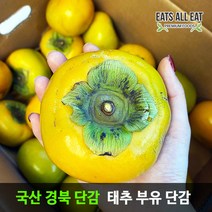 이츠올릿 프리미엄 태추 단감 5kg 대18-20과 진영 부유 땡감 대추 창원 청도 창녕, 태추단감 10kg 중 (39~43과)