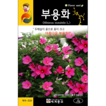 부용화 씨앗 2g / 꽃씨 키우기 화단가꾸기