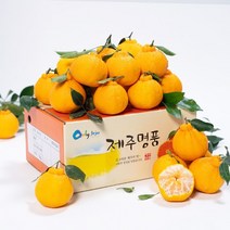 [자연맛남] 제주 고당도 한라봉 1.5kg (6과내외/벌크포장)