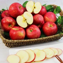 새콤달콤 맛있는 햇 부사 사과 꿀사과, 부사 사과 10kg(45-50과내외)
