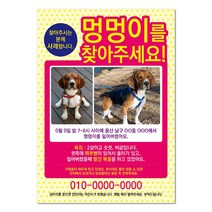 반려견찾기애완실종전단지 고양이 실종 강아지를찾아주세요 디자인무료, 샘플8, 100매
