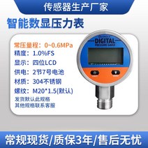 고정밀 디지털압력계 휴대용 측정 테스터 게이지, 기본형 (0~0.6MPA)