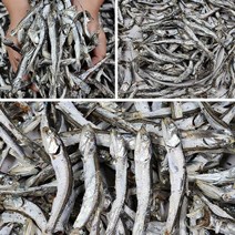 국멸치 고바멸치 건어물도매몰국물용다시멸치, 세지리멸치 1kg