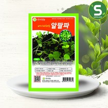 솔림텃밭몰 베이비알팔파씨앗 10g 베이비채소 베이비알팔파, 단품