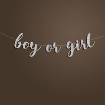 네온사인소품 LED 실내간판 소년 또는 소녀 배너 베이비 샤워 성별 공개 장식 사인 배경 골드 반짝이 첫, 한개옵션1, 04 Silver Glitter
