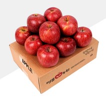 [명품농원] 당도선별 문경사과 부사 2kg 선물세트, 1박스, 02. 명품농원 중과 2kg(7~8과)-선물용