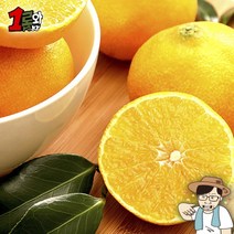 프리미엄 제주 황금향 가정용 중과 3kg 7ㅡ20과, 가정용 중과(7-20과), 상세페이지 참조, 상세페이지 참조