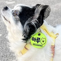 주문제작 강아지 야간산책 LED 목걸이 인식표 네임택 형광 네온 야광 이름표 (양면자수), 형광노랑+초록글씨
