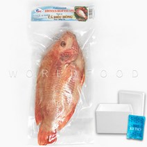 월드푸드 냉동 베트남 레드 틸라피아 RED TILAPIA 1마리 CA DIEU HONG, 700g +