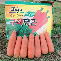 미소진 국내산 햇 당근 특 중 못난이 3kg 5kg 10kg, (특)당근
