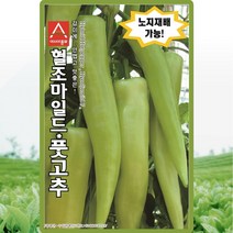 아시아종묘 고추씨앗종자 혈조마일드(10립)