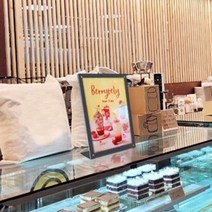아크릴스탠드 아크릴쇼케이스 아크릴안내판 a4꽂이 꽂이판 LT