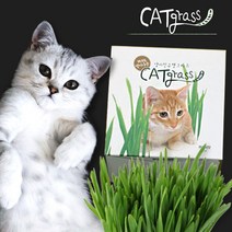 꿈쟁이 캣그라스씨앗(70g) 캣그라스, 캣닢가루, 거친타입(파랑)