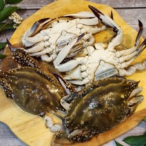 서해안 당일바리 활 숫꽃게 1kg 3-5미 내외, 없음