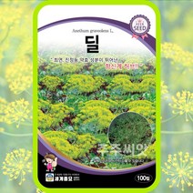 딜 100립/ 허브씨앗 허브씨 허브키우기 딜 씨앗 딜 씨