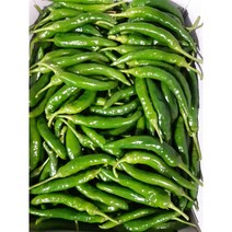 매콤 달콤 청양고추 500g, 1kg, 1개