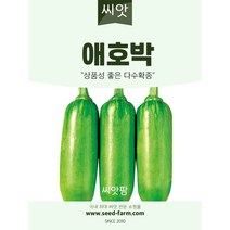 애호박 씨앗 (20립)