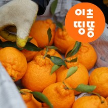 제주 당도높은 고당도 만감 한라봉 가정용 명절 선물세트 3kg 5kg, 5kg 소과