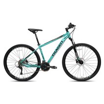 트라젠 TM3900 29인치 24단 유압식디스크 MTB 자전거, 민트/15.5인치, 미조립