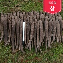 제주흙더덕 실속형 (상 중상 중) 2kg~10kg, (상) 3kg