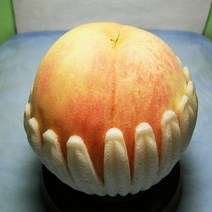 복숭아나무 묘목 백도복숭아 경봉 R4cm 결실주(분) 1개