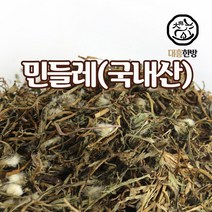 대흥한방 겨우살이 3kg 중국산, 1개
