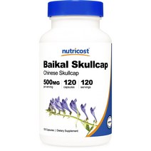 뉴트리코스트 속썩은풀 500mg 캡슐, 120개입, 1개, 120정