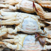 연평도 제철 봄꽃게 냉동 간장게장용 암꽃게 1kg, 상세페이지 참조