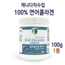 캐나다 프리미엄 연어콜라겐 저 분자 피쉬콜라겐 저분자콜라겐 펩타이드 가루 먹는 어류 콜라겐 분말 추천 청정지역 생선 캐나다산 연어 100프로 히알루론산 블루베리 로열제리 첨가 대용량, 1통, 100g