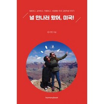 널 만나러 왔어 미국! : 대화하고 공부하고 여행하고 사랑했던 미국 교환학생 이야기, 도서
