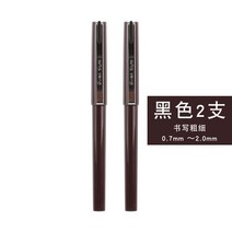 제도용필기구 Pente PENTEL stylo제도펜 스케치펜 JM20-A실크 자재화 테두리붓 스케치 펜비지니스 만화 제도펜 설계, T09-블랙색 2개