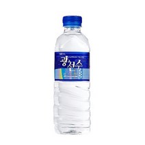 일화 광천수 500mlx20펫x2박스 생수/탄산수/미네랄워터/심층수/생수모음, 단일 총 수량