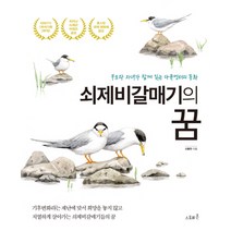 쇠제비갈매기의 꿈:부모와 자녀가 함께 읽는 다큐멘터리 동화, 스토리존