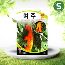 솔림텃밭몰 여주씨앗 10립 여주 씨앗 종자