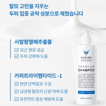 [헤어전문가 개발] 탈모 완화 탈모샴푸 / 트리트먼트 두피가려움 두피뾰루지 두피각질 약산성 지성샴푸 비듬샴푸 천연샴푸 샴푸바 두피샴푸 여성탈모 헤어클리닉 탈모영양제 두피케어 비듬, 이지로 탈모샴푸(500ml), 1개